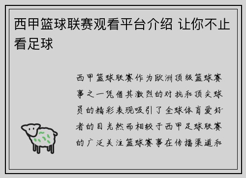 西甲篮球联赛观看平台介绍 让你不止看足球