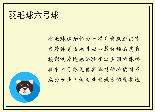 羽毛球六号球